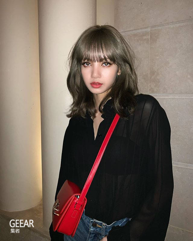 Lisa成为首位全球代言人,一起回顾她的Celine造型!-搜狐大视野-搜狐新闻