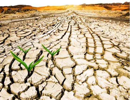 纯净的饮用水有多么得重要