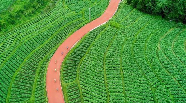 水清,岸綠,景美