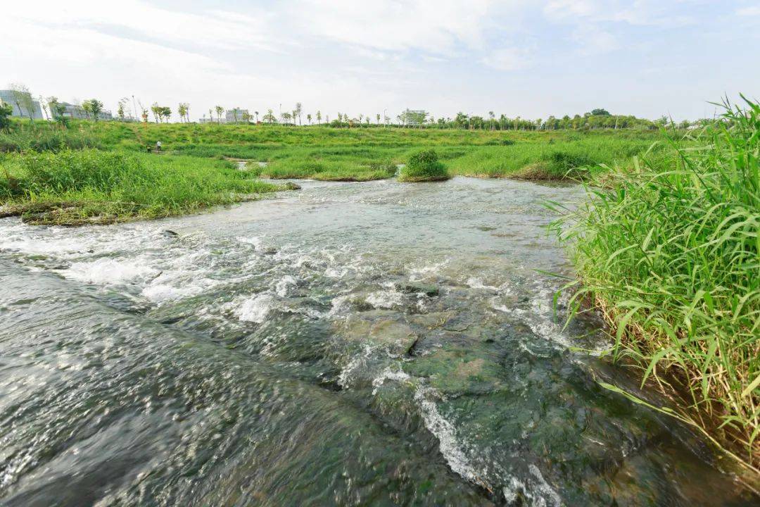 获奖公布丨坪山区河道水库影像大赛结果揭晓