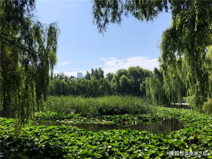 原創你去過魯迅公園嗎不同城市的魯迅公園有什麼不一樣