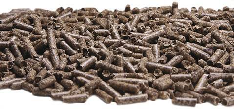 马吃的精饲料都有哪些呢?_手机搜狐网