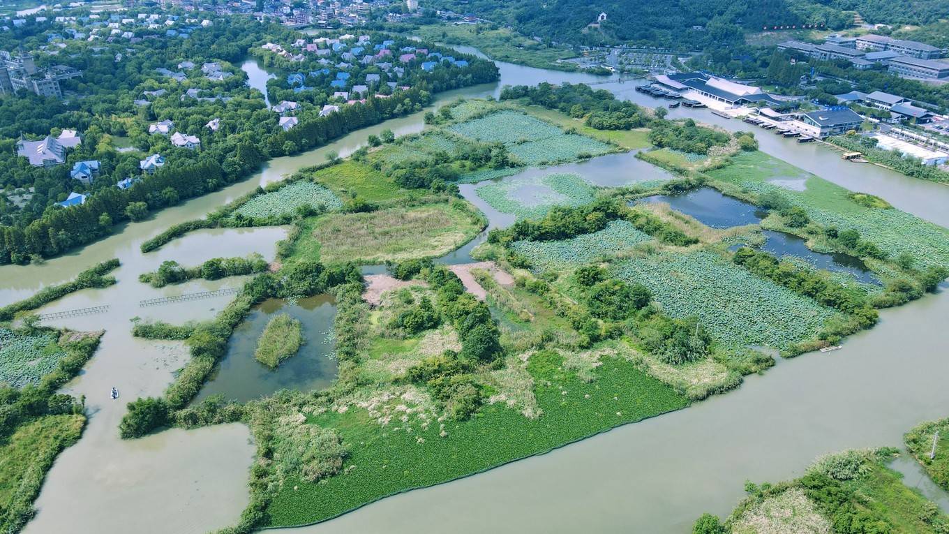 江南规模最大的原生态天然湿地,在德清下渚湖体验日与夜的美