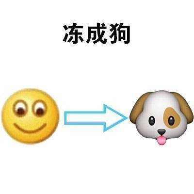 一组猝不及防降温表情包