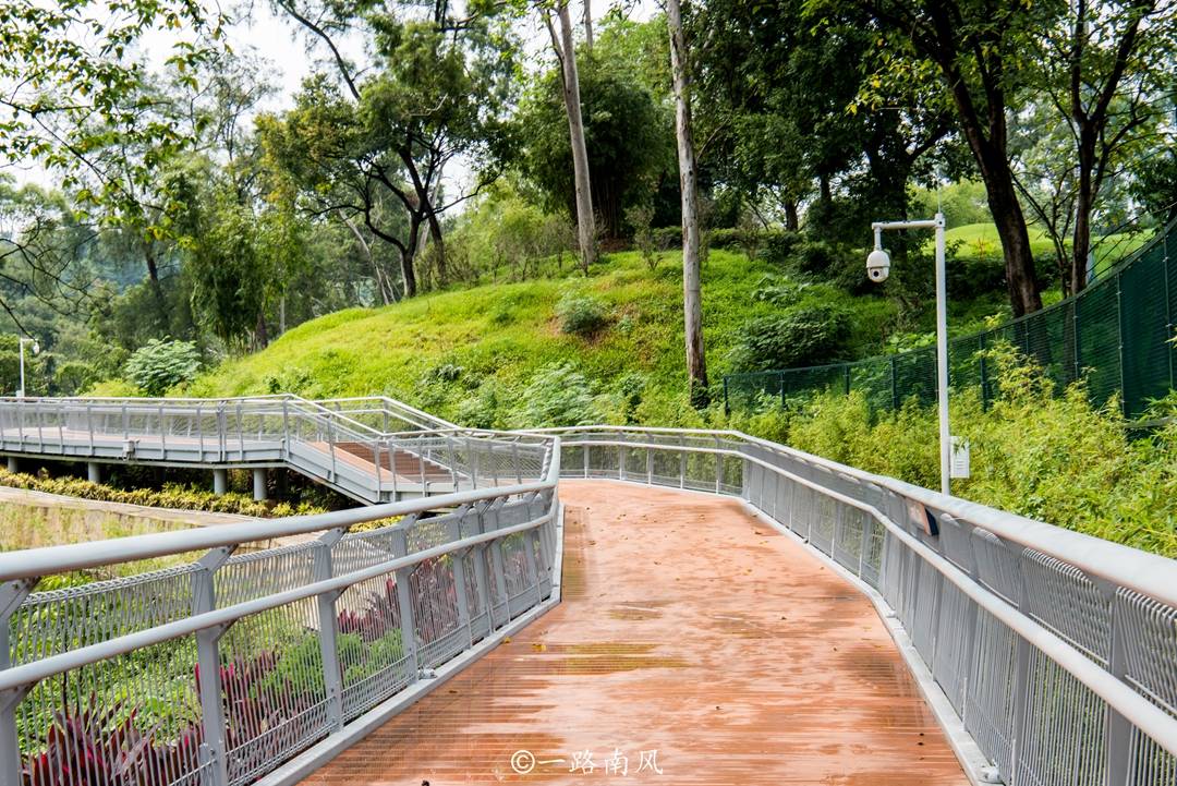 原创广州第一条空中步道穿行在青山绿水间走完全程大约2小时