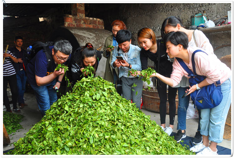 考茶艺师证要多长时间_考取茶艺师_怎样考茶艺师考试证书