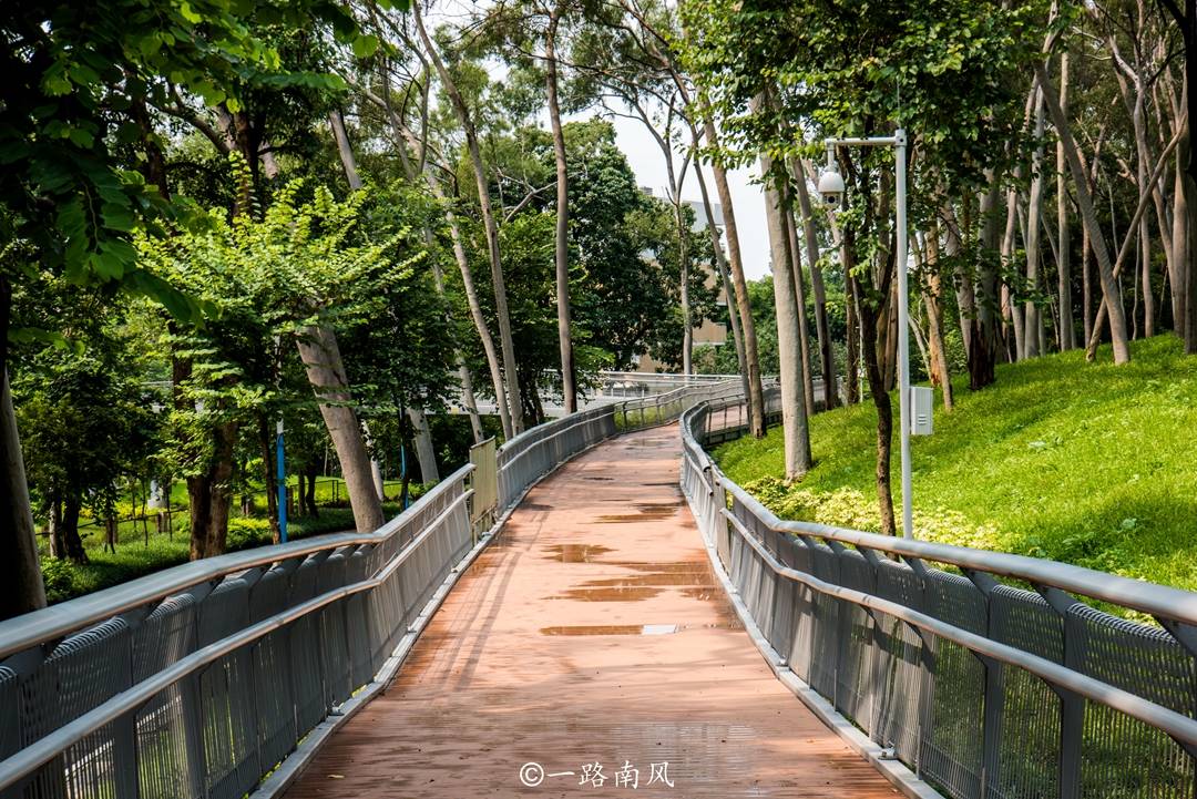 原创广州第一条空中步道穿行在青山绿水间走完全程大约2小时