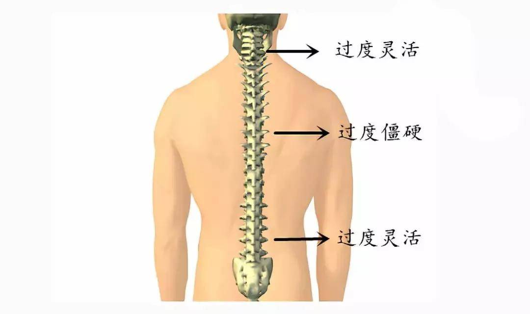 理療養生加盟-頸椎腰痛總是不好,可能是你的