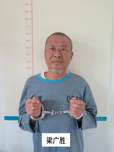 高州新街黑涉黑团伙一审宣判了