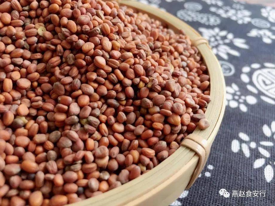 燕赵食安行食药同源集58莱菔子