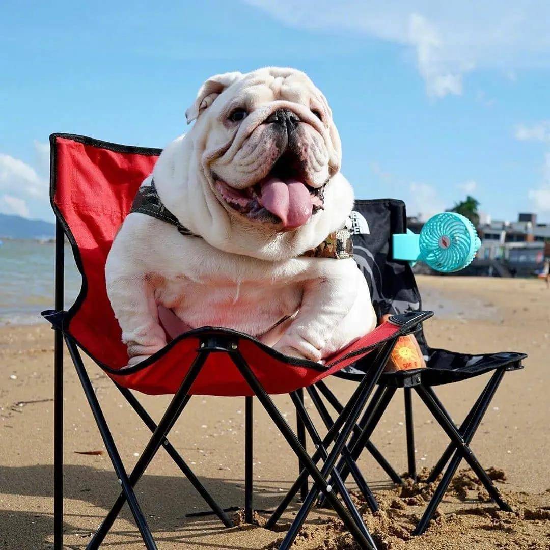 潮流头像壁纸潮图 2020年9月30日