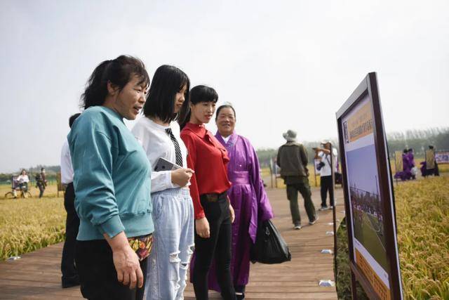 原创盘锦跟着镜头来大堡子看看咱美丽家乡