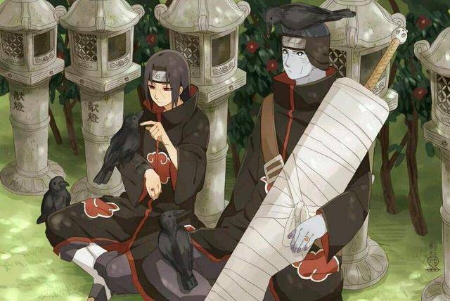 火影忍者当初鼬和鬼鲛联手对战自来也时为何要主动撤退呢