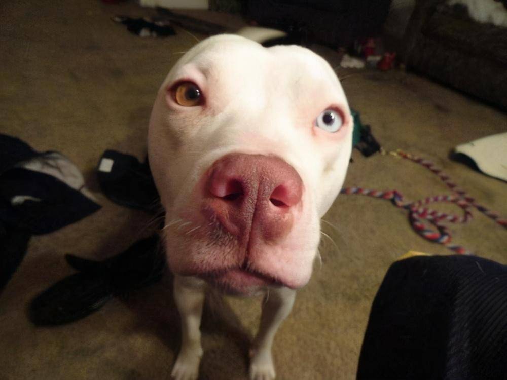 一面墙几天都还没拆完,过来看看什么原因?