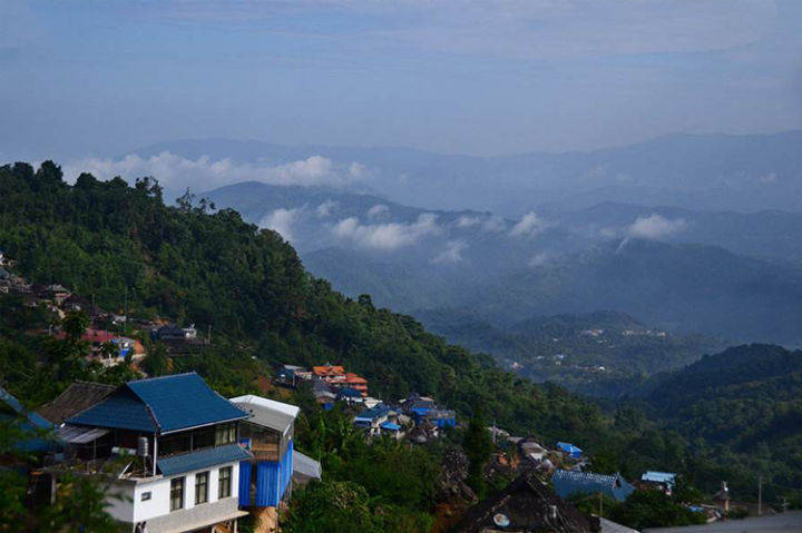 盘点南糯山古树茶半坡老寨姑娘寨竹林寨石头寨的口感特点和价格