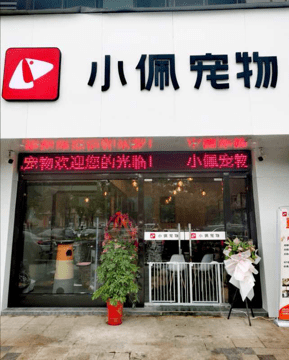 集专业与安心服务于一身的宠物馆.—小佩宠物