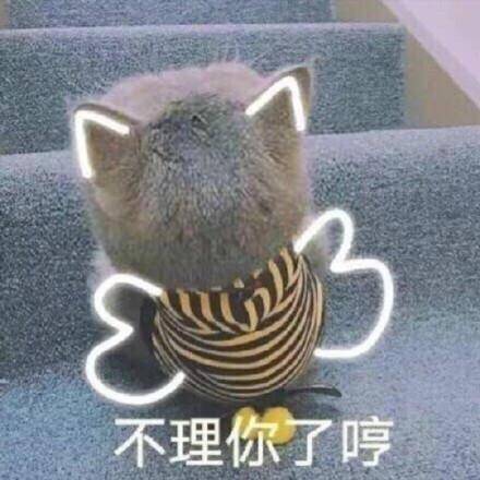 可爱猫咪表情包合集|不理你了哼