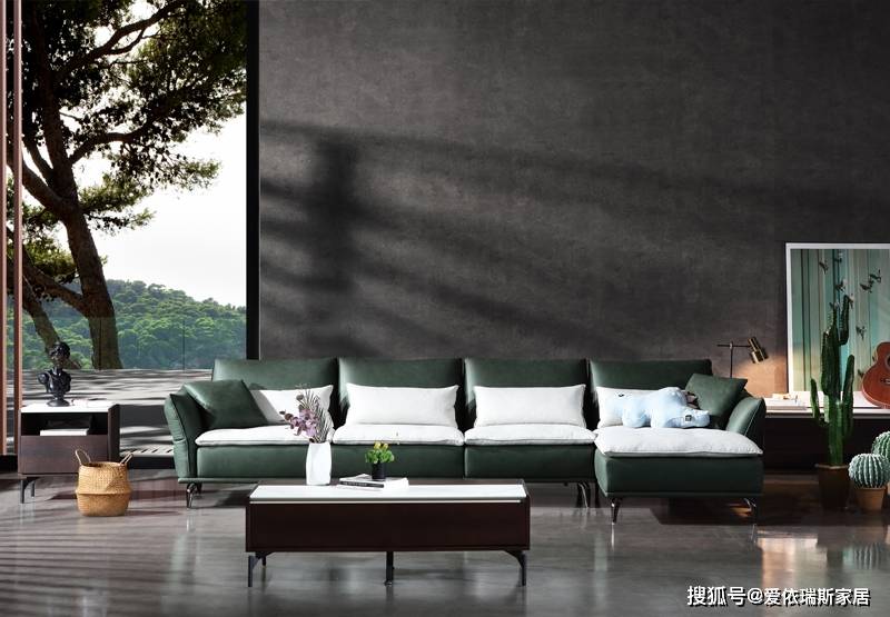 爱依瑞斯莫拉young新加点颜色让家年轻起来