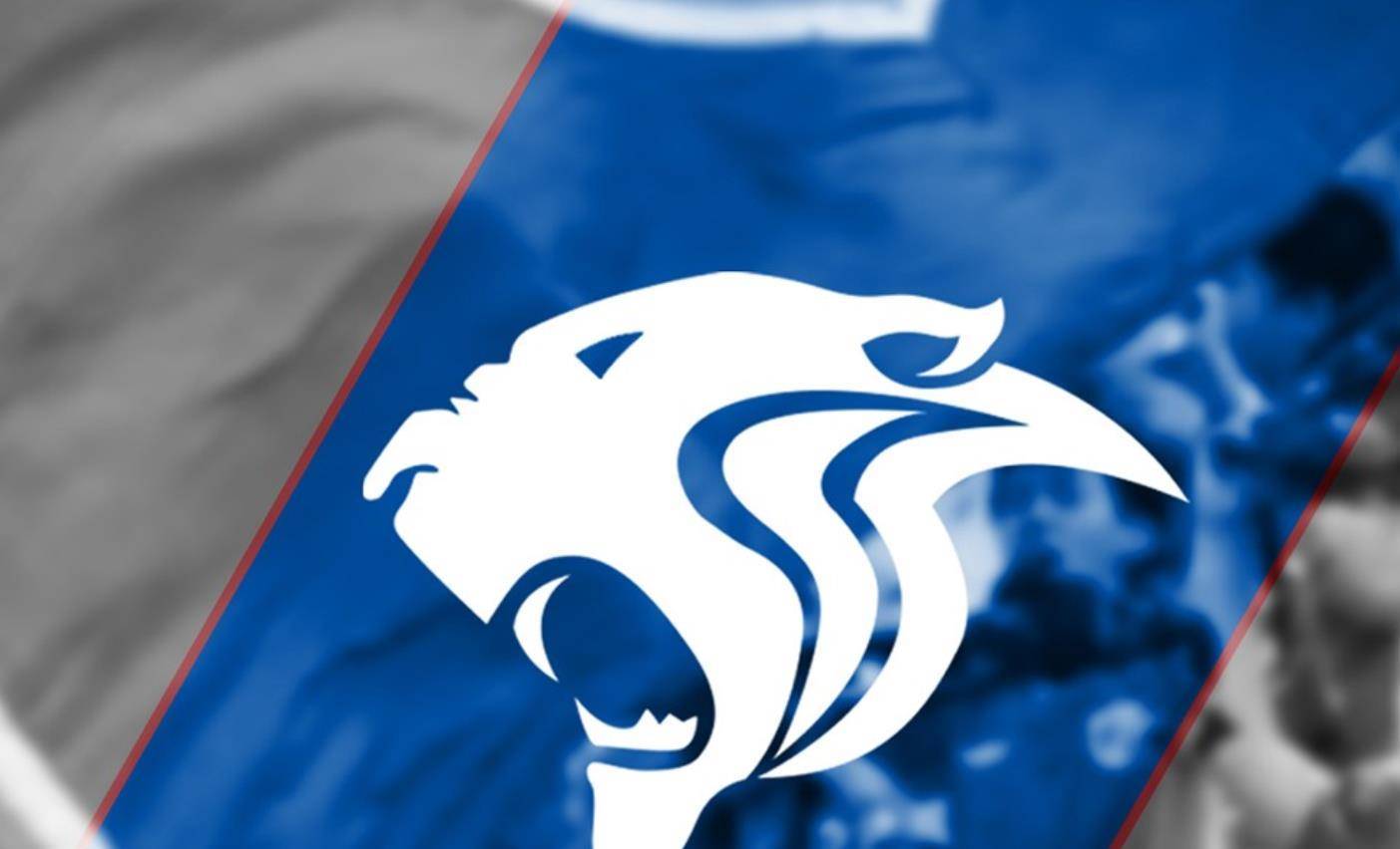 意大利国脚希望结束上海申花生涯!武磊遭进球荒连续4轮未进球!