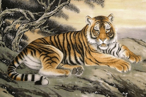 肖虎 来自搜狐网