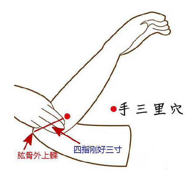 经穴之可清热明目、调理肠胃的手三里穴!_穴位
