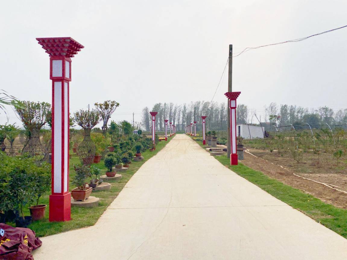 河南新蔡练村镇:努力打造绿色农业品牌 助推乡村振兴_手机搜狐网