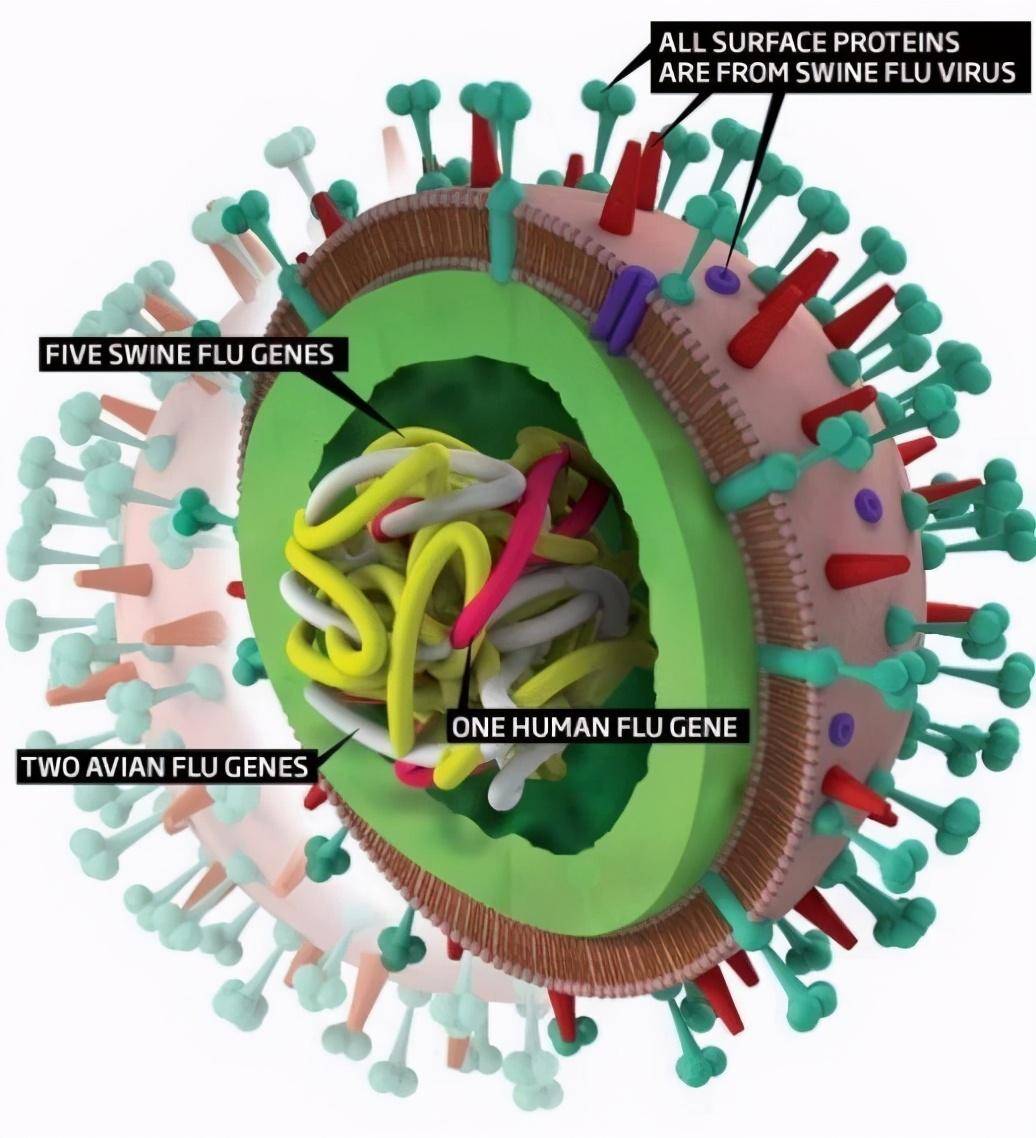 新研究空气净化器可抑制教室里90的气溶胶病毒传播