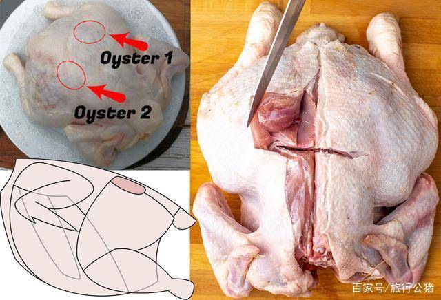 吃了几千年鸡,中国人却从不知鸡肉上——这个部位最好吃