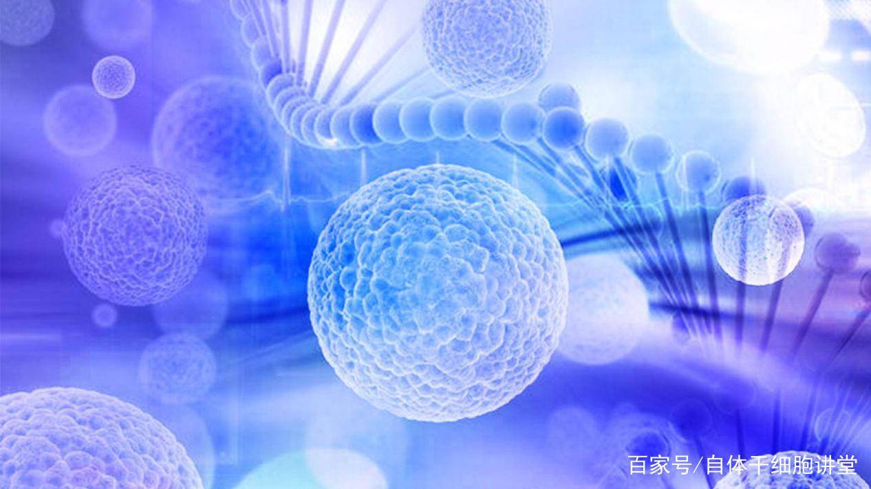 2020年,我国干细胞药物发展迈入了全新的阶段_手机搜狐网
