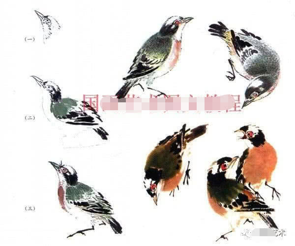 常见禽鸟的写意画法步骤解析