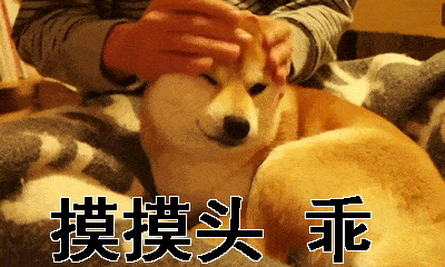 via:soogif动图每天早上7点准时小区