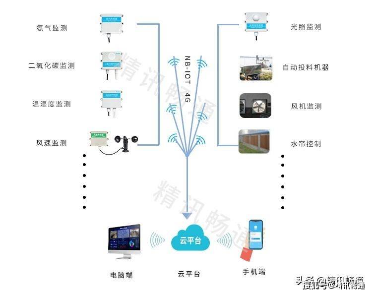 智慧养猪系统解决方案