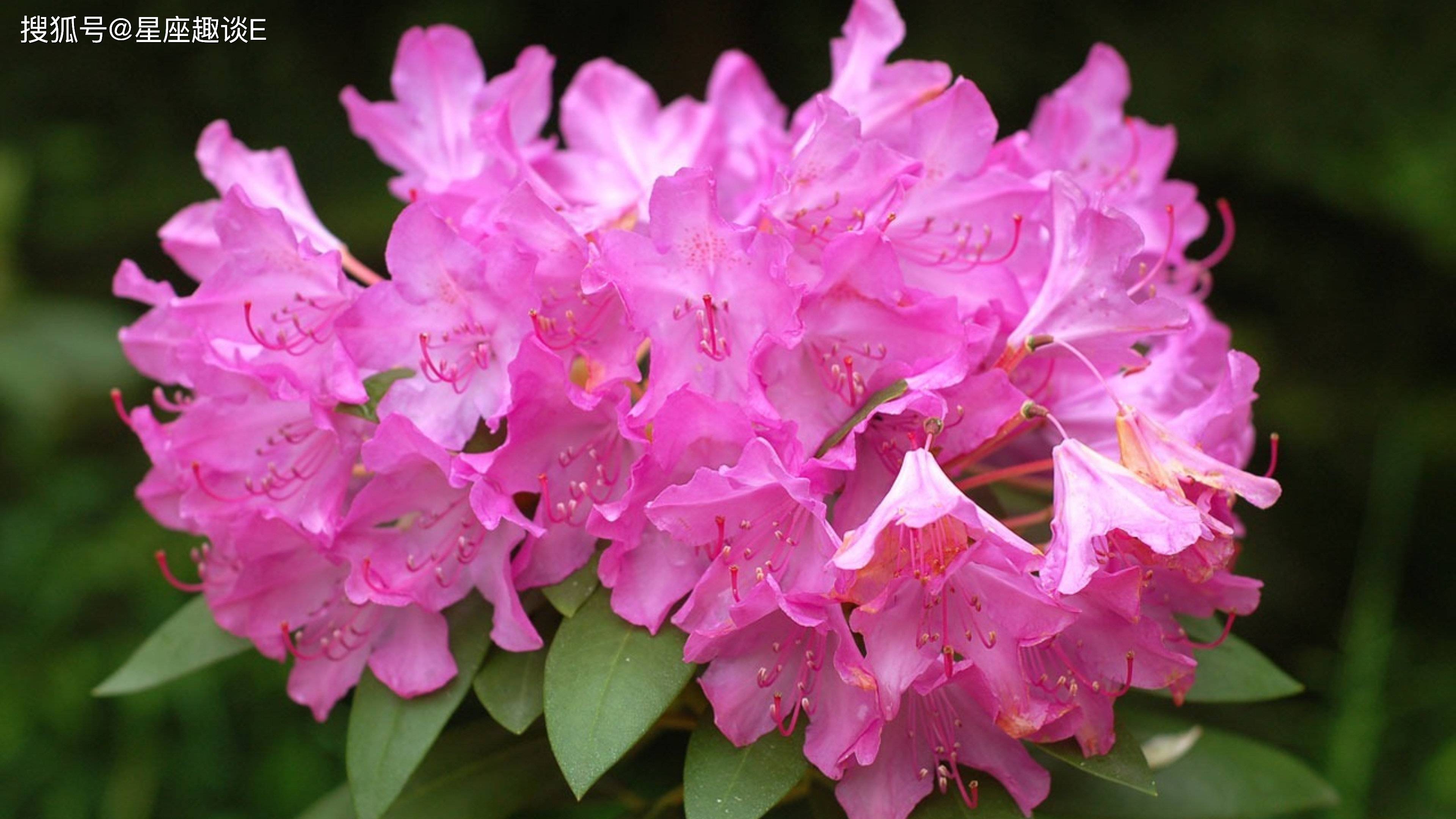 水瓶座身上有哪些奇怪的点?