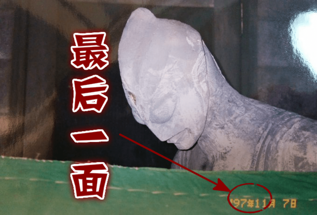 日本发现迪迦石像图片