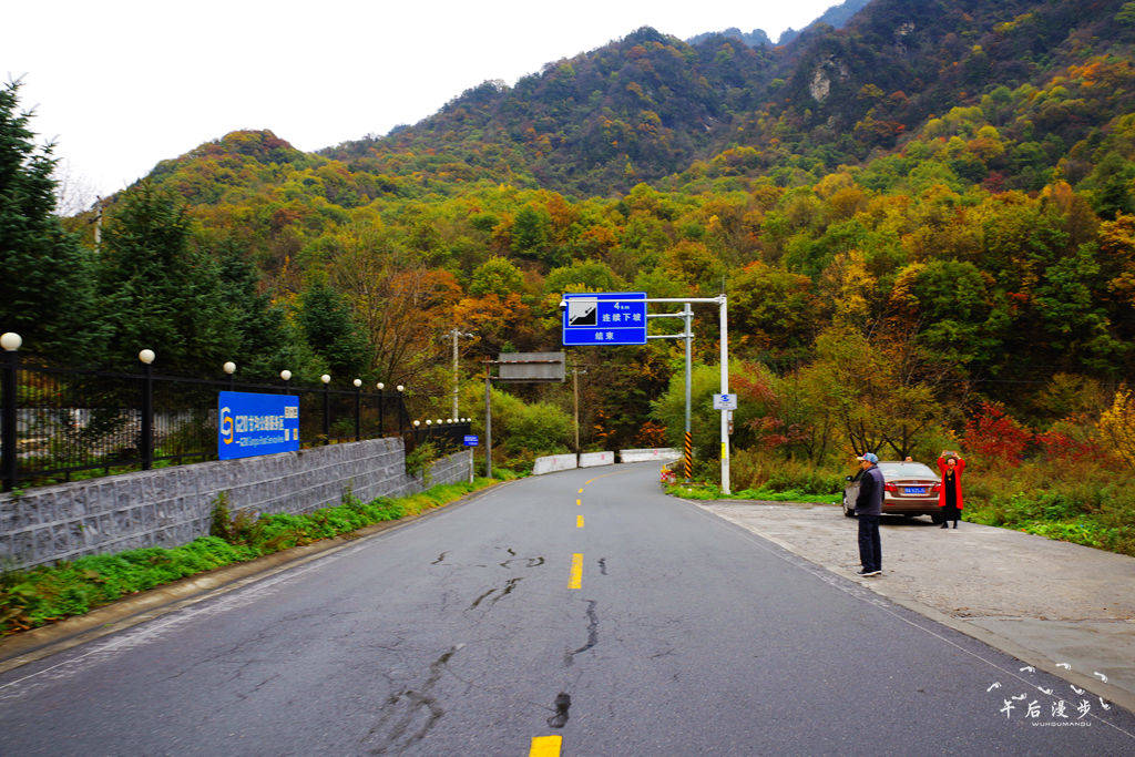 金秋时节210国道沣峪口一路向南山上山下层林尽染