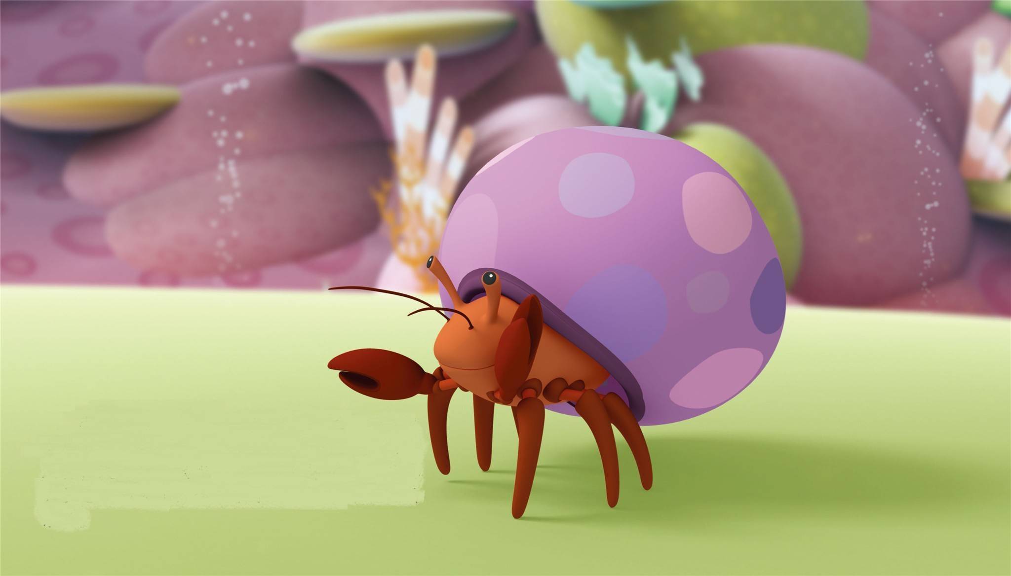 幼儿故事《寄居蟹》儿童故事绘本分享