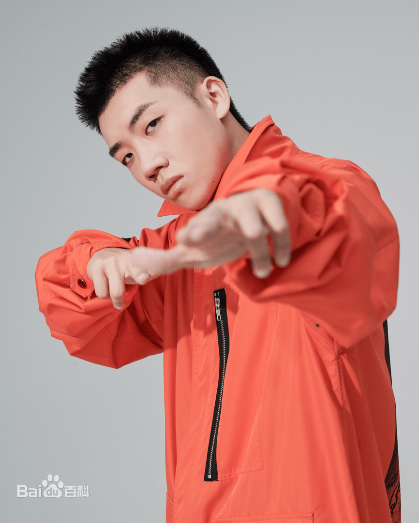 杨和苏《辩护人》是年度最佳吗?