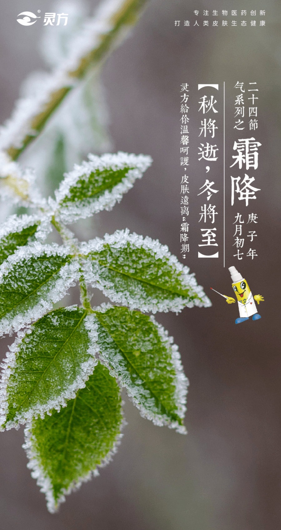 今日霜降 | 秋已暮,寒霜凝_手机搜狐网