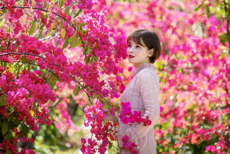 人像摄影组图:三角梅之恋