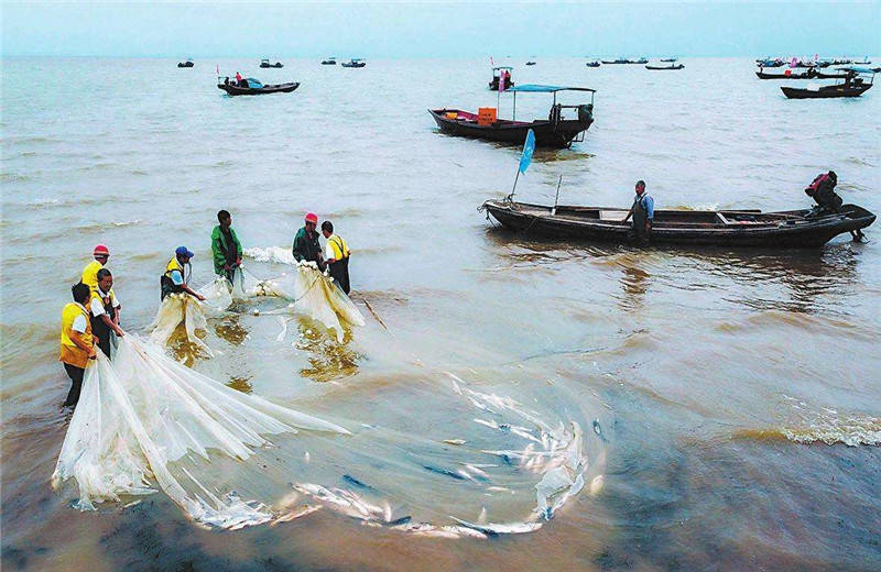 十几年来,因为工程建设,非法电捕,过度捕捞的原因,长江中的渔业资源