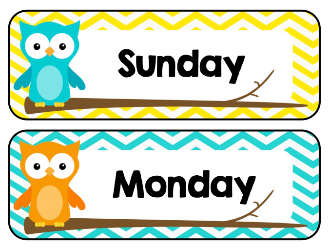 380页超级可爱的猫头鹰主题环创素材包