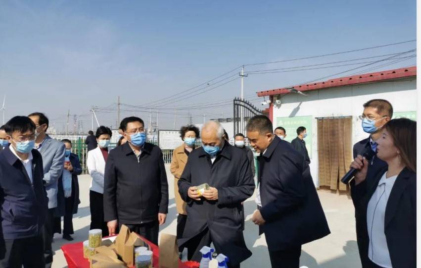 菏泽市老年学学会会长高木斗一行到武胜桥镇玉皇新村和金银花基地考察