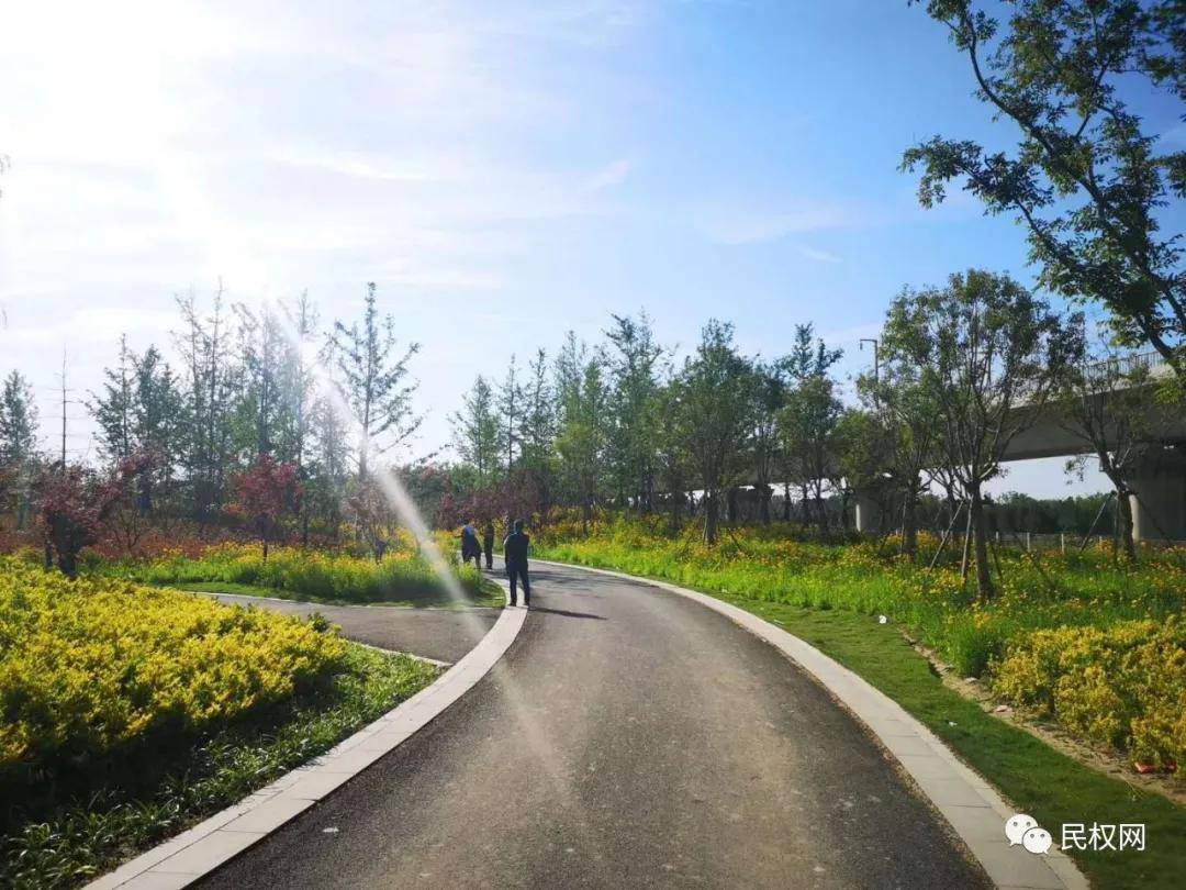 民权县绘就生态小江南