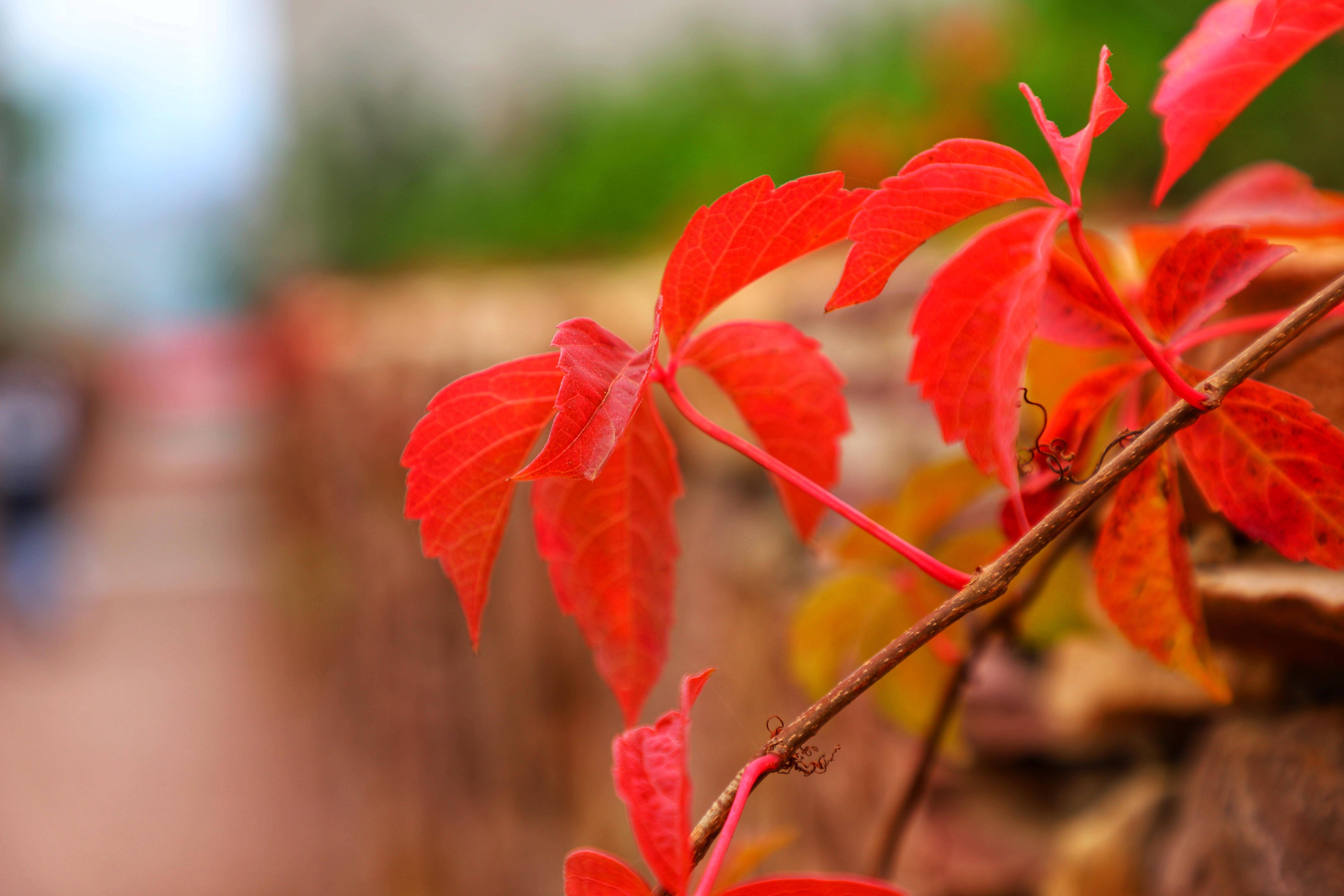 顶,向东经水洪池,九里沟,蟒河口水库,盘谷寺,沁河牛王滩至沁阳段起始
