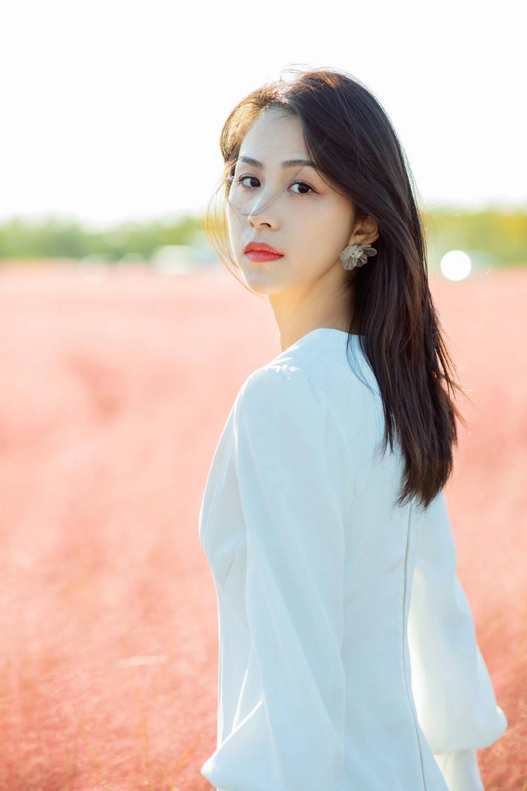 杨晞曝花海写真 高雅脱俗似花仙子