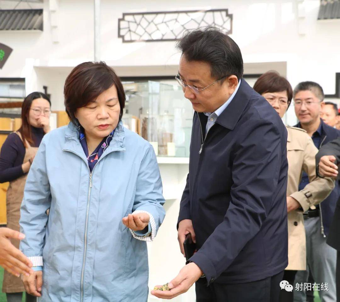 盐城市副市长陈卫红在射阳调研_手机搜狐网