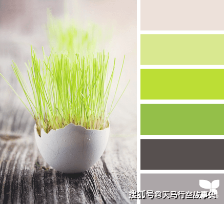 配色方案色彩搭配大全春天篇