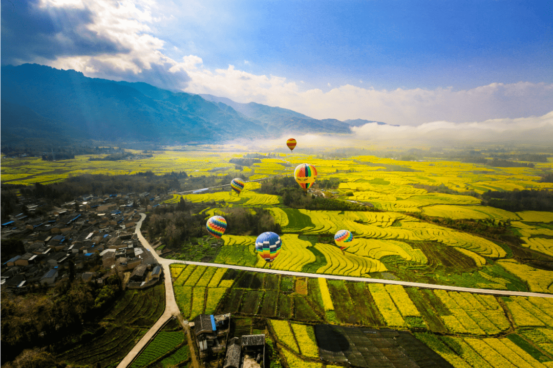 南境丨毕争中国的生物多样性看云南云南的生物多样性看高黎贡山