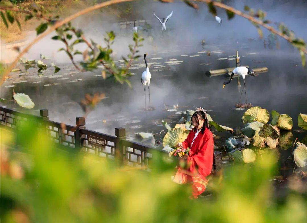 彼岸山水一城十景東阿阿膠城陪你看遍風花雪月