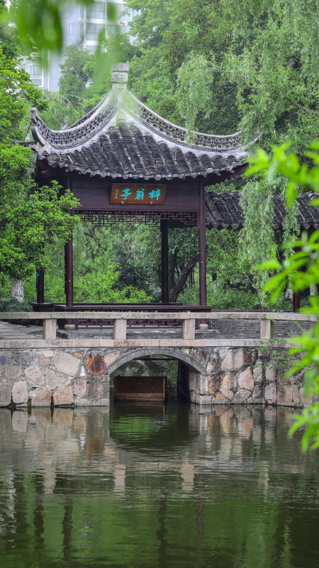 如皋水绘园,天下名园也!以水为笔,绘秋日万种风情